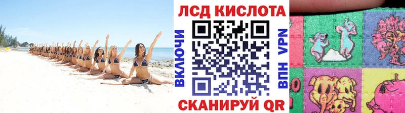 дарнет шоп  Малая Вишера  Марки N-bome 1,5мг 