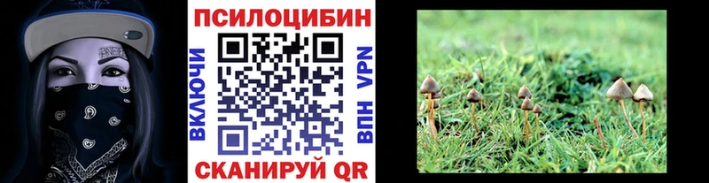 Псилоцибиновые грибы мухоморы  Малая Вишера 